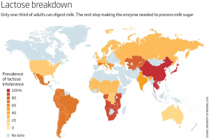 Lactose Intolerance Map: Population Percentage & Rates