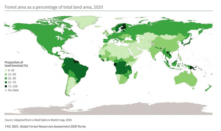 world-s-forests-map-wondering-maps